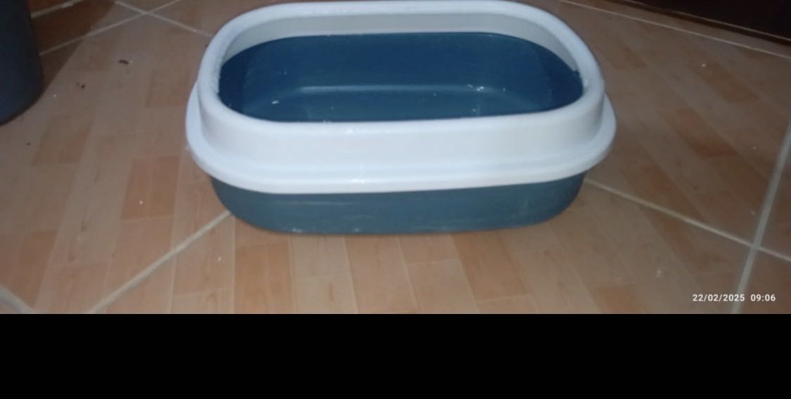 cage and tray for sale