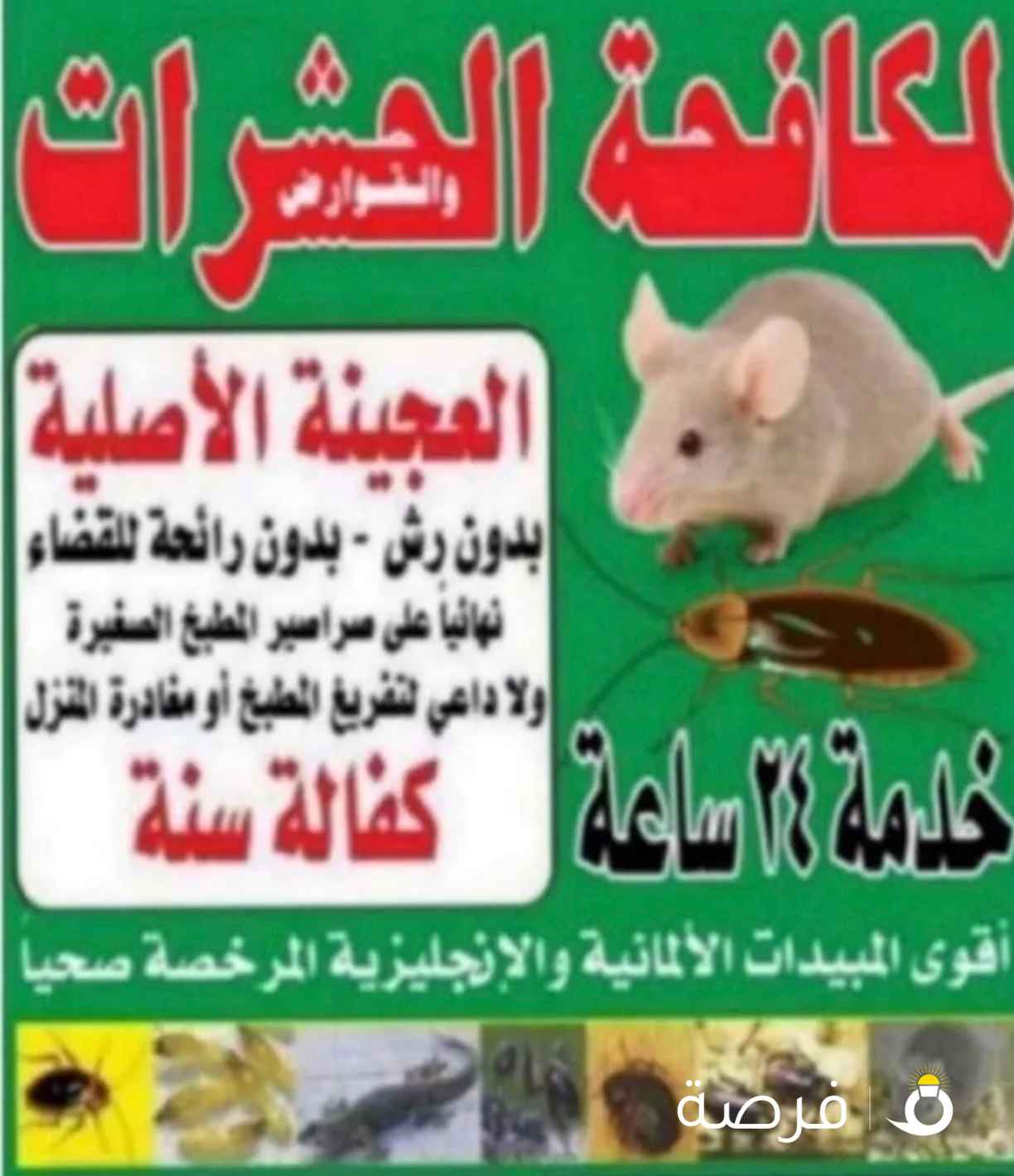 مكافحه حشرات وقوارض