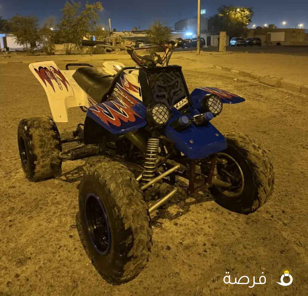 للبيع بانشي2005