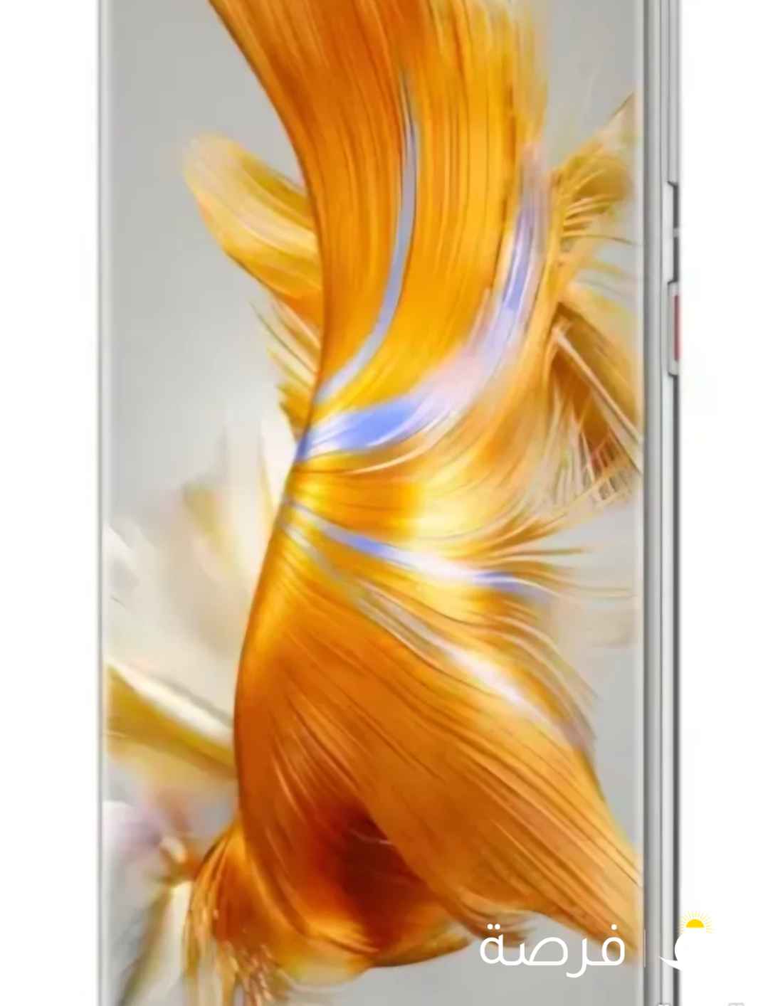 مطلوب هواوي ميت 50 برو