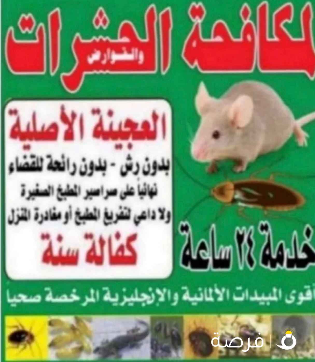 مكافحه حشرات وقوارض