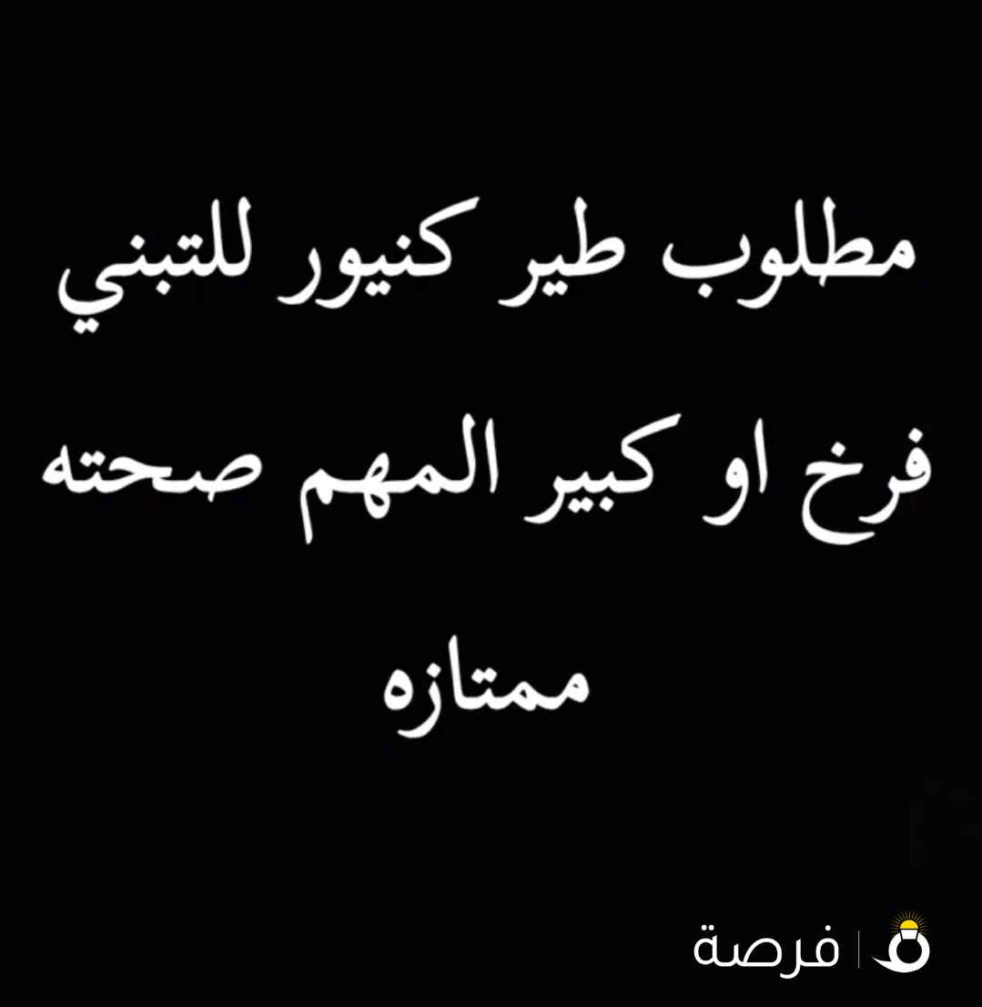 مطلوب طير كنيور للتبني