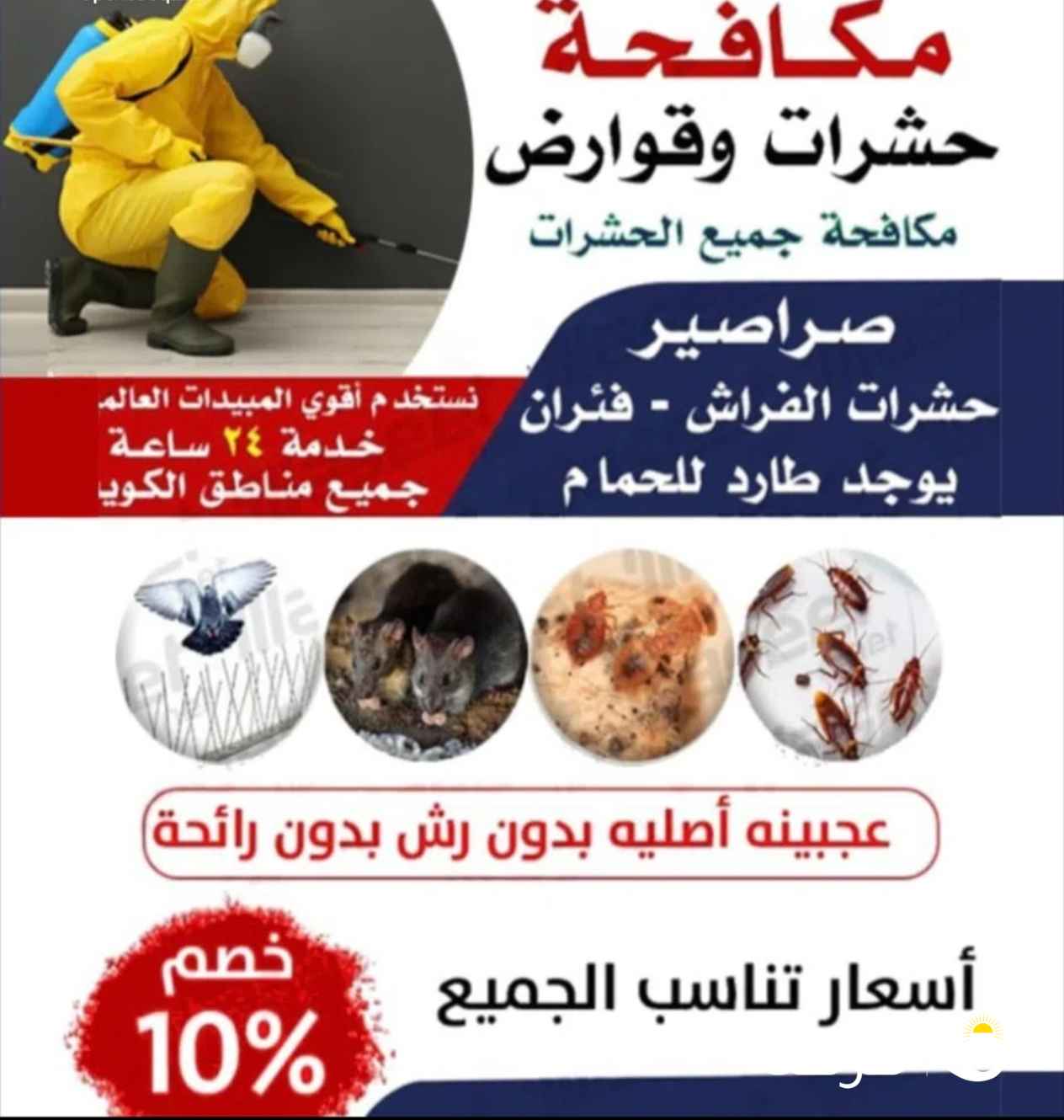 مكافحة جميع الحشرات والقوارض جميع مناطق الكويت كفاله سنه علي جميع أعمالنا