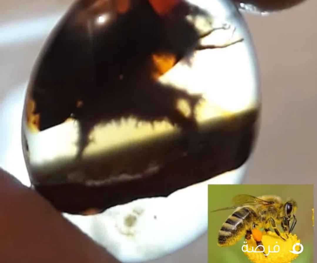 عقيق يماني طبيعي 100% داخله نحله