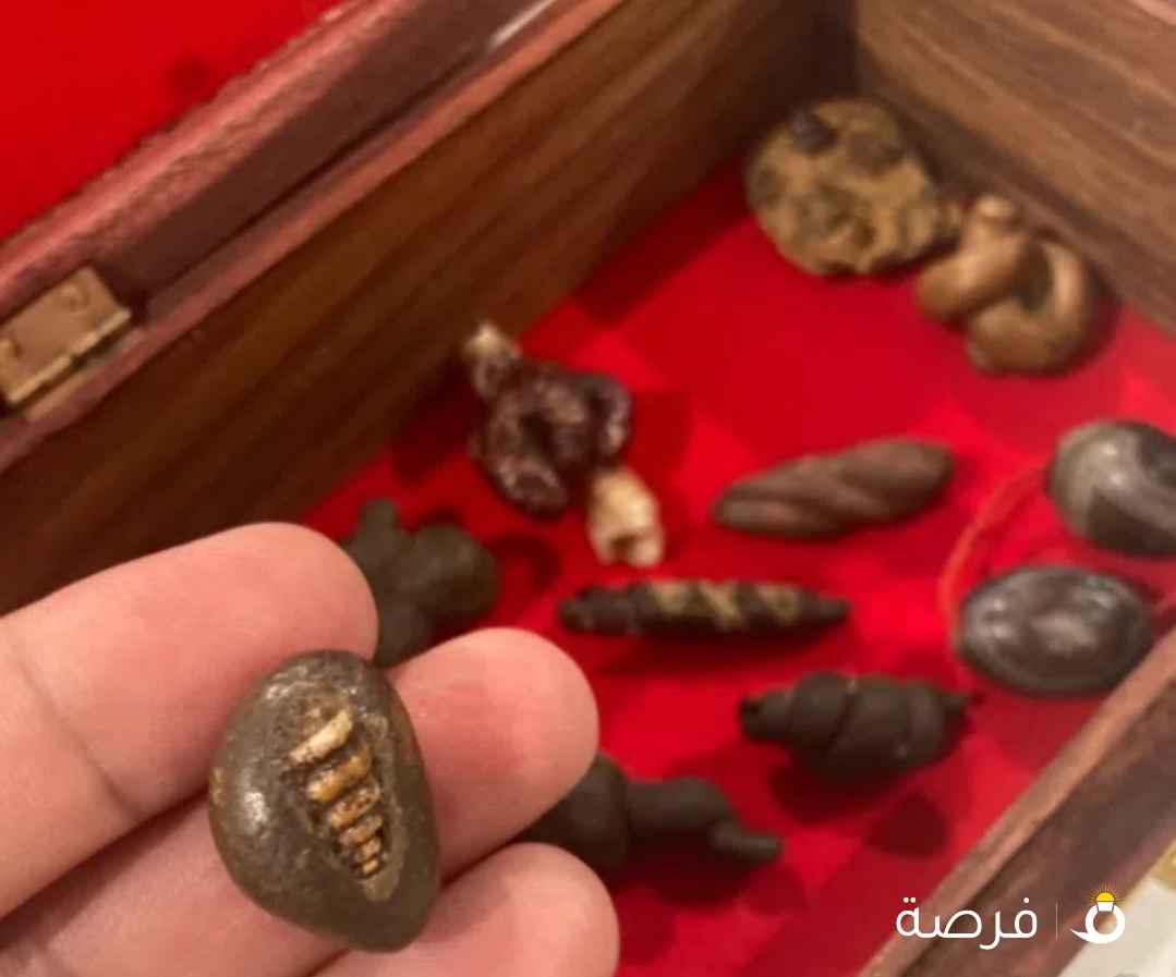 نووووادر الاحجار طبيعيه