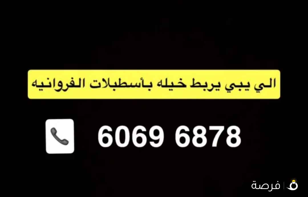 يوجد ربط خيل