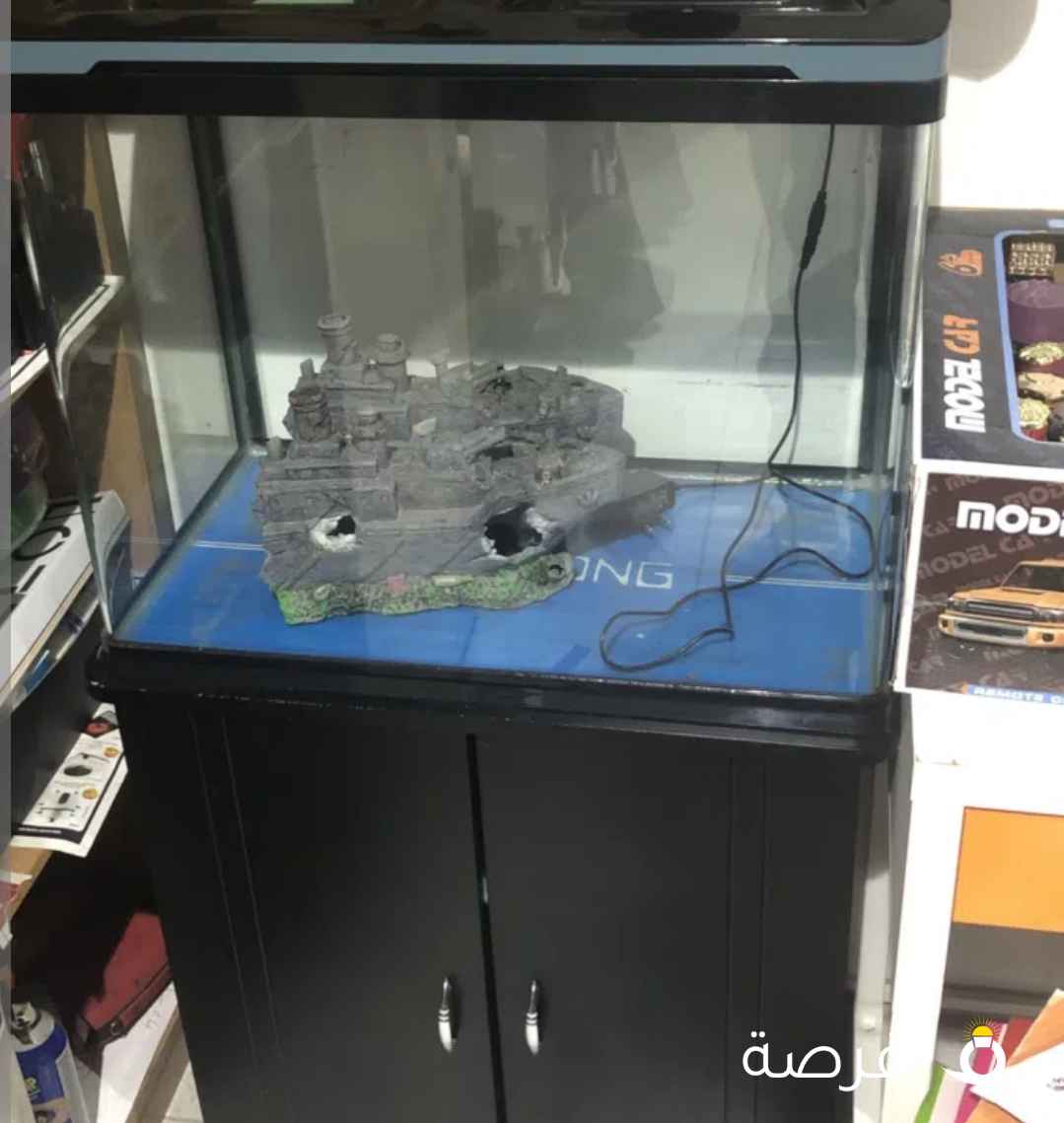 Fishtank with accessories and food