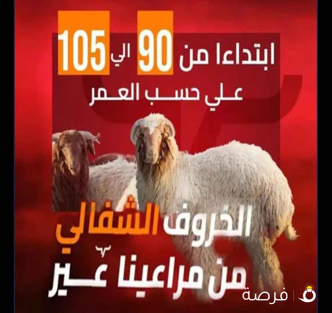 ذبايح السلامة