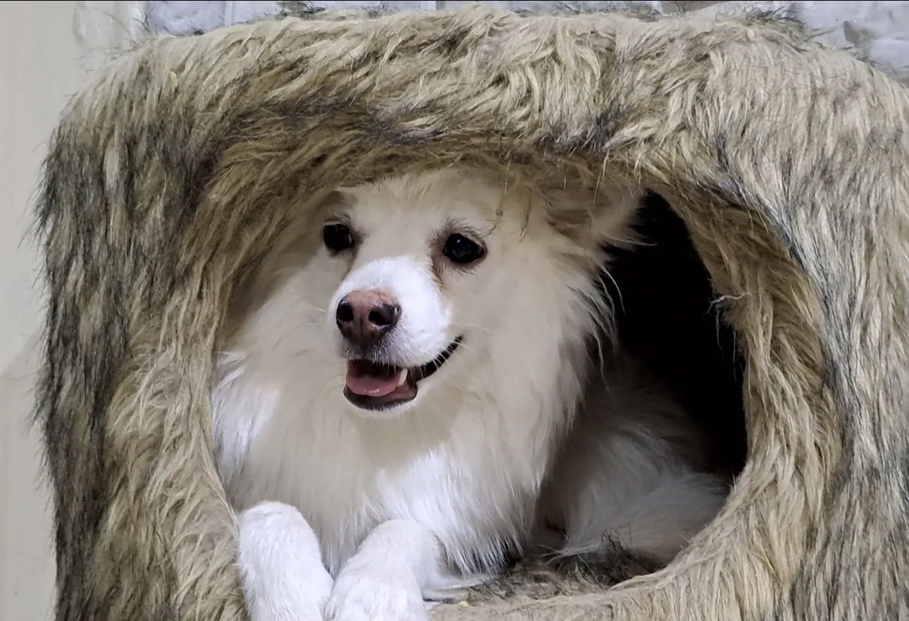 مكس بريد نثيه