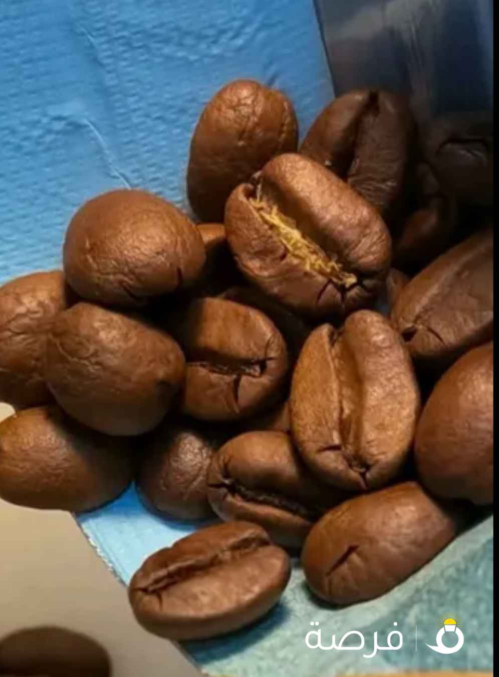 Coffee Beans41132834