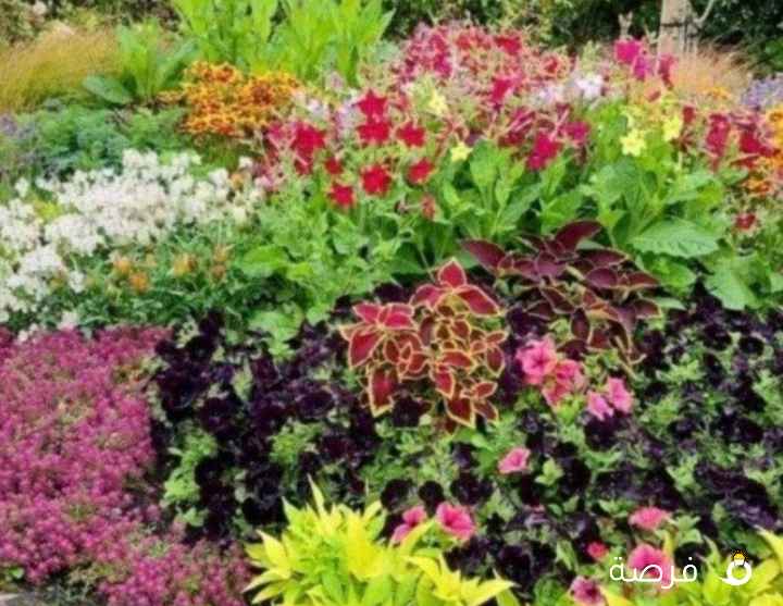 مطلوب سكرتيرة ٍ