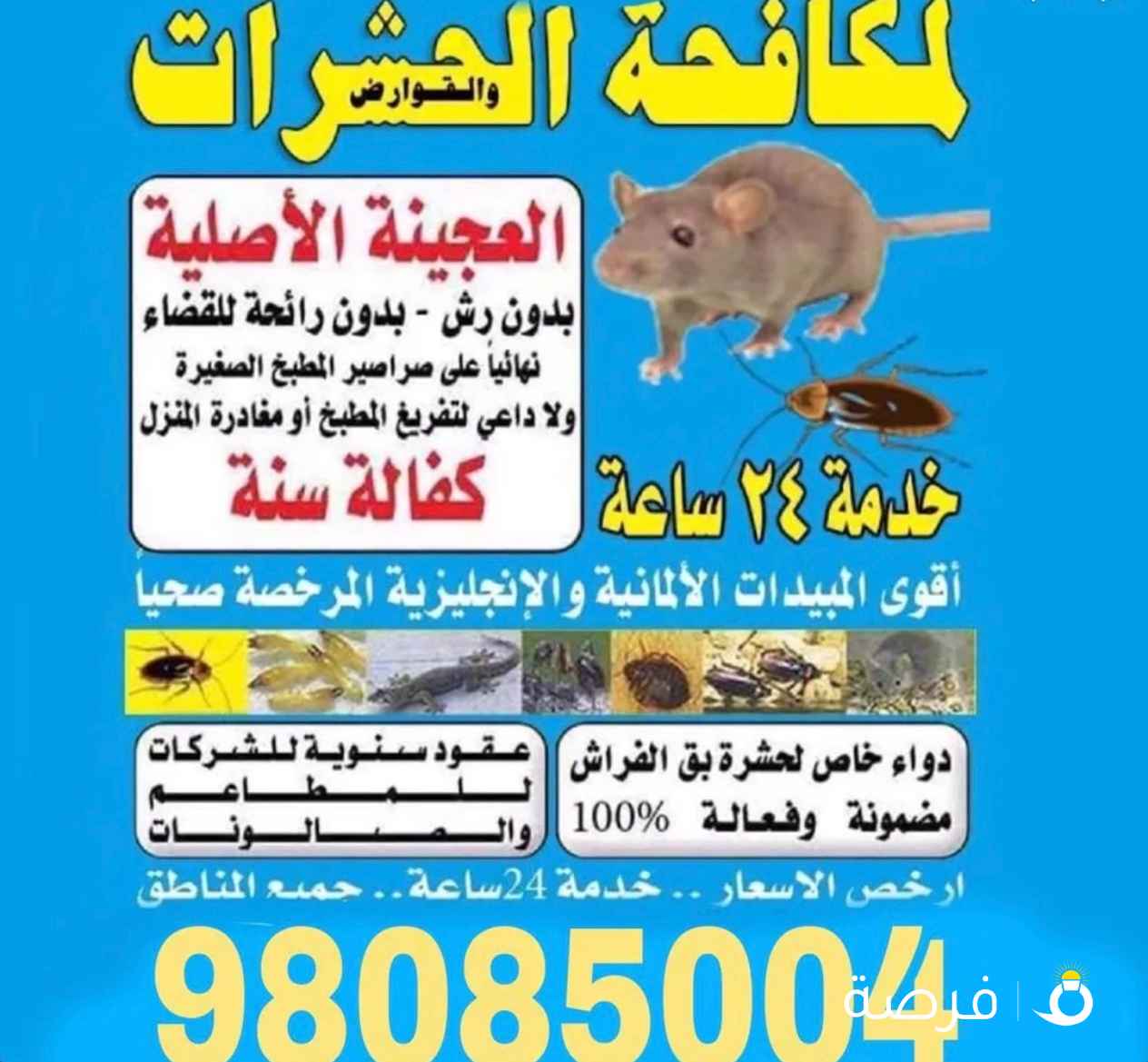 رش حشرات وقوارض كفاله سنه