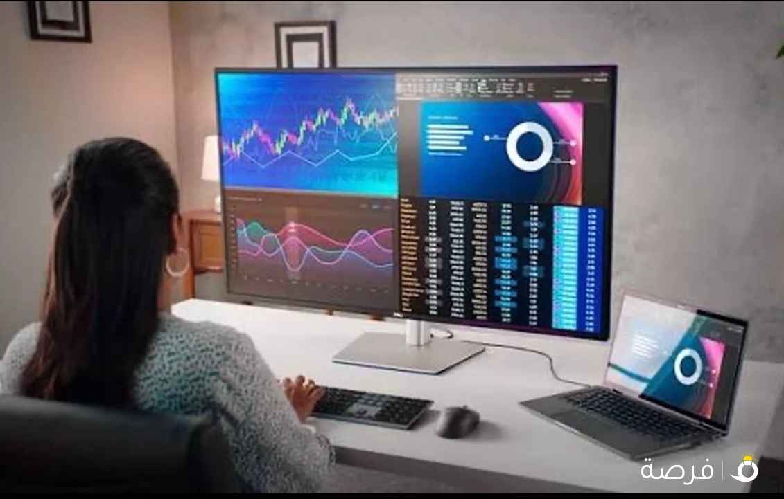 Dell U43 4k multi input monitor (MINT)