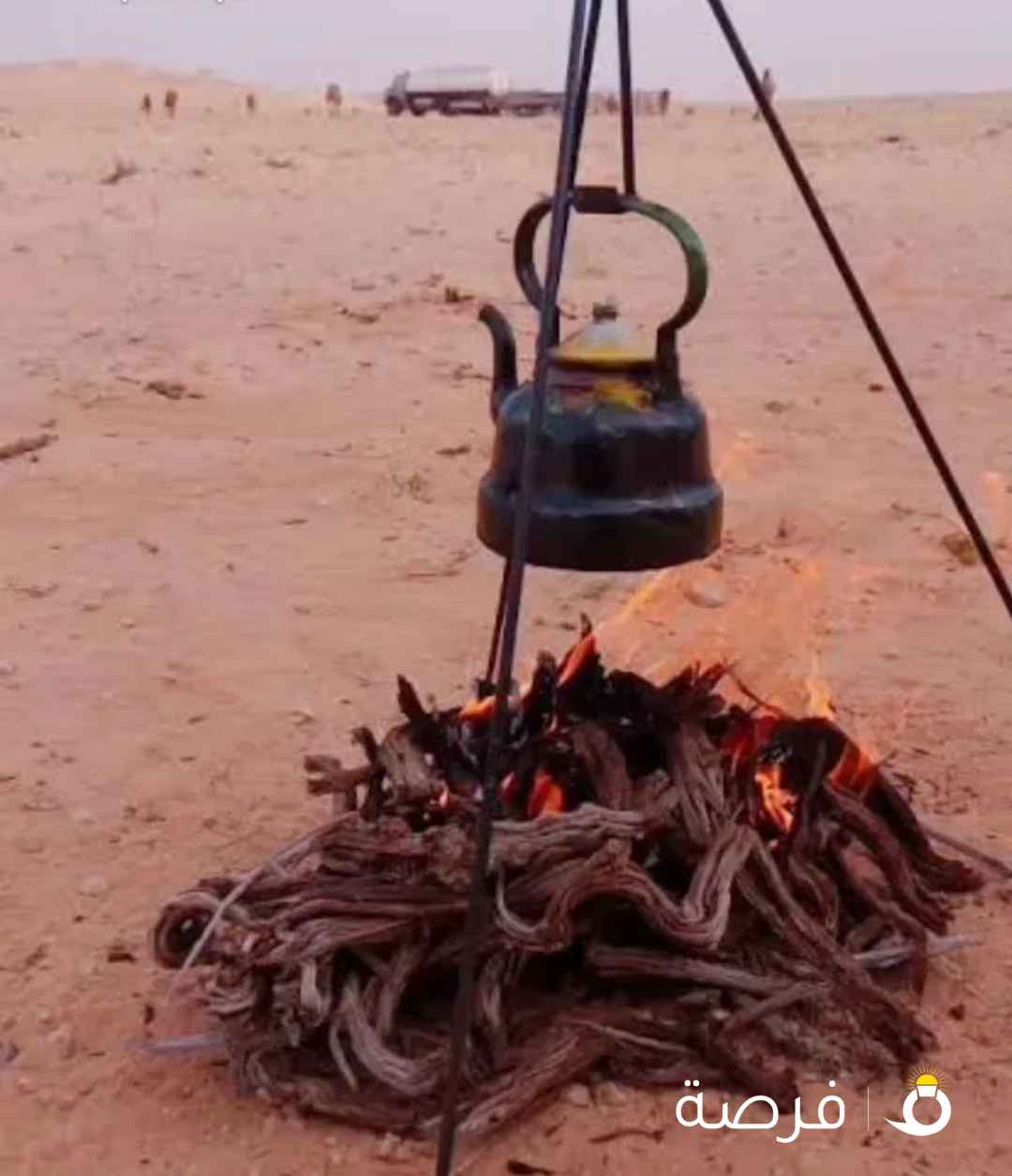 للبيع جميع أنواع الحطب السعودي