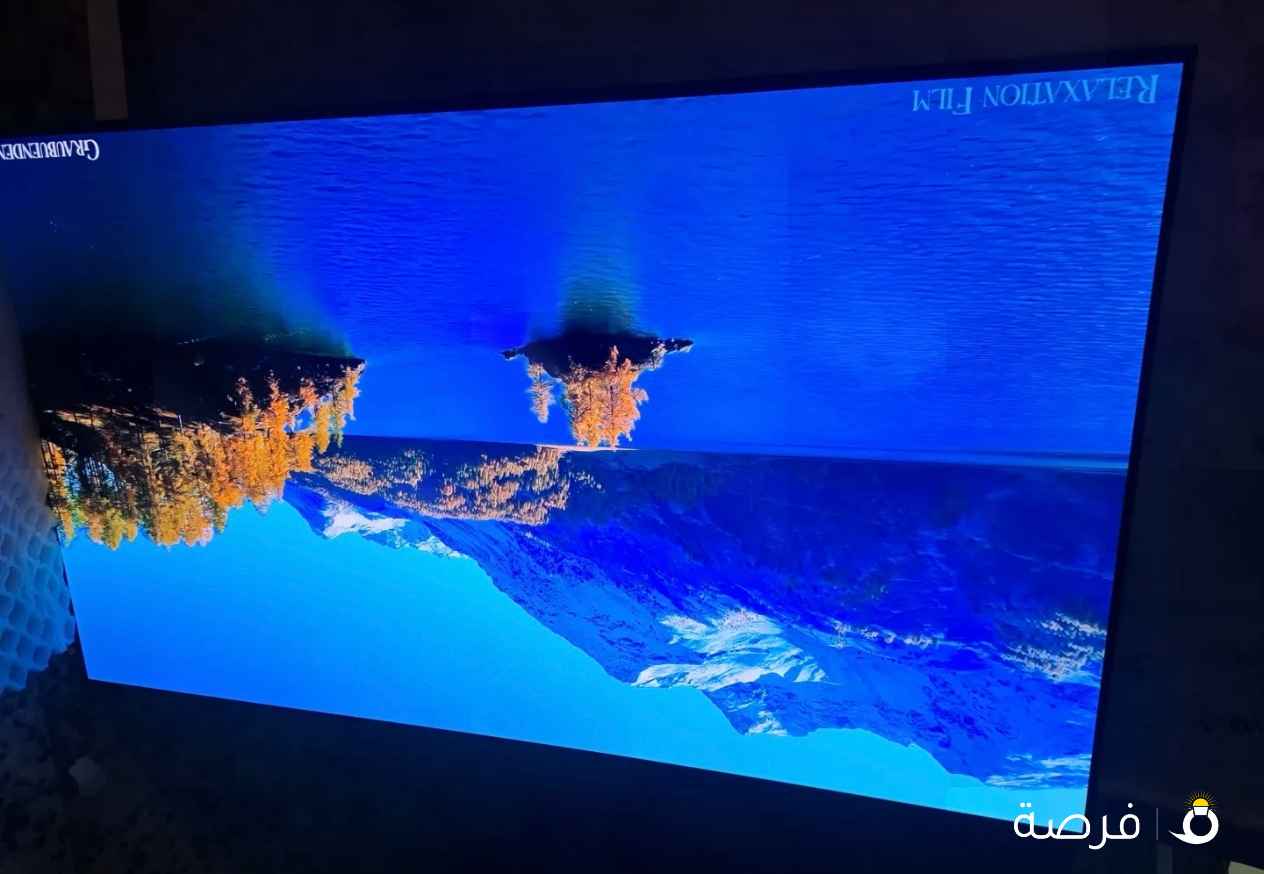 سامسنونج، 65 بوصه سمارت OLED