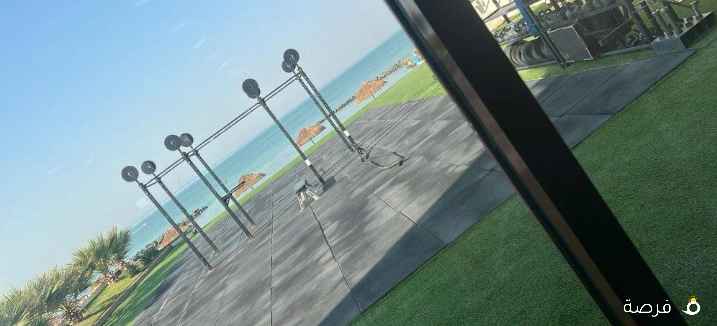 ابحث عن وظيفه