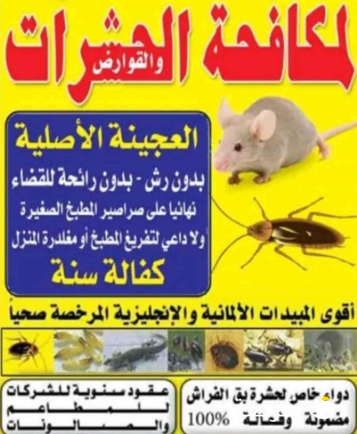 مكافحة جميع الحشرات والقوارض جميع مناطق الكويت كفاله سنه علي جميع أعمالنا