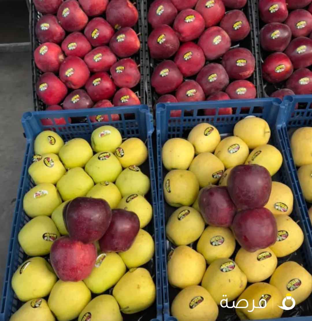 بیع فواکه وخضروات ممتازه وعالیة الجوده وصحیه