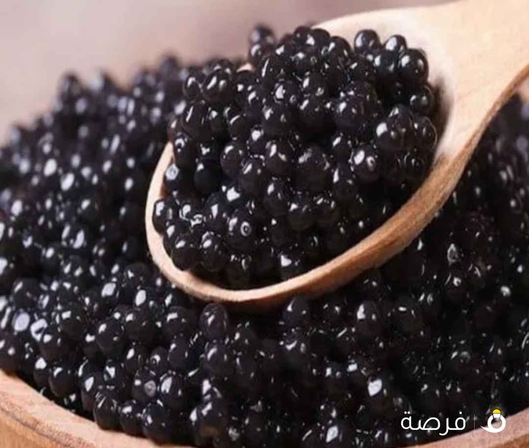 العسل الابيض النادر الاصلي