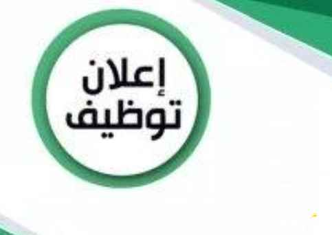 مطلوب منادیب تسویق عقاري