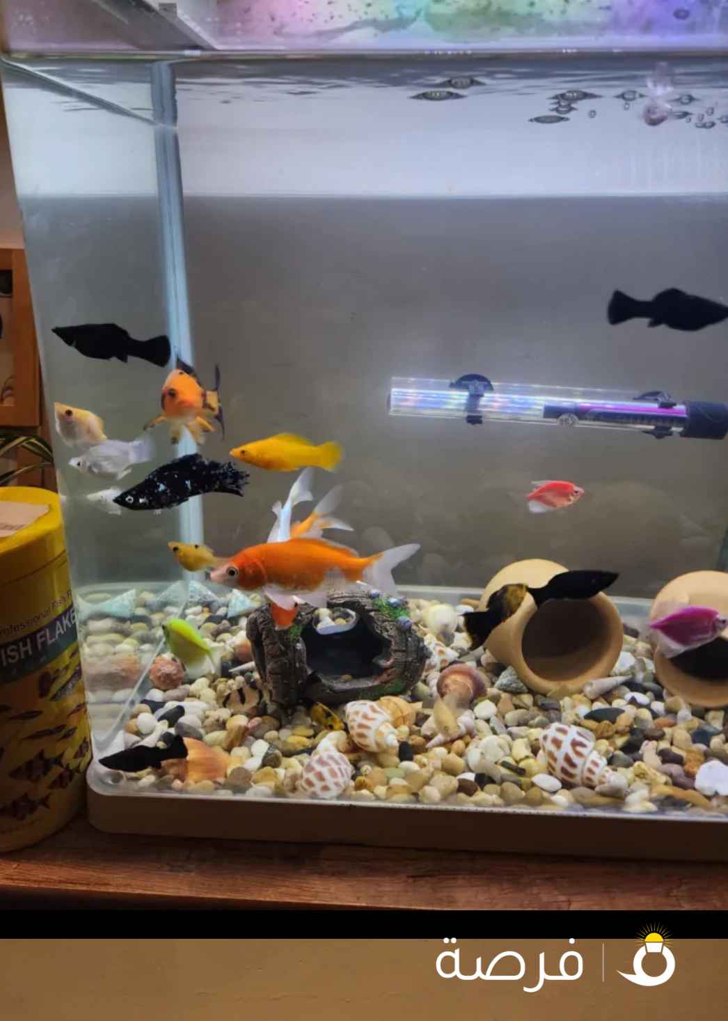 للبيع حوض سمك