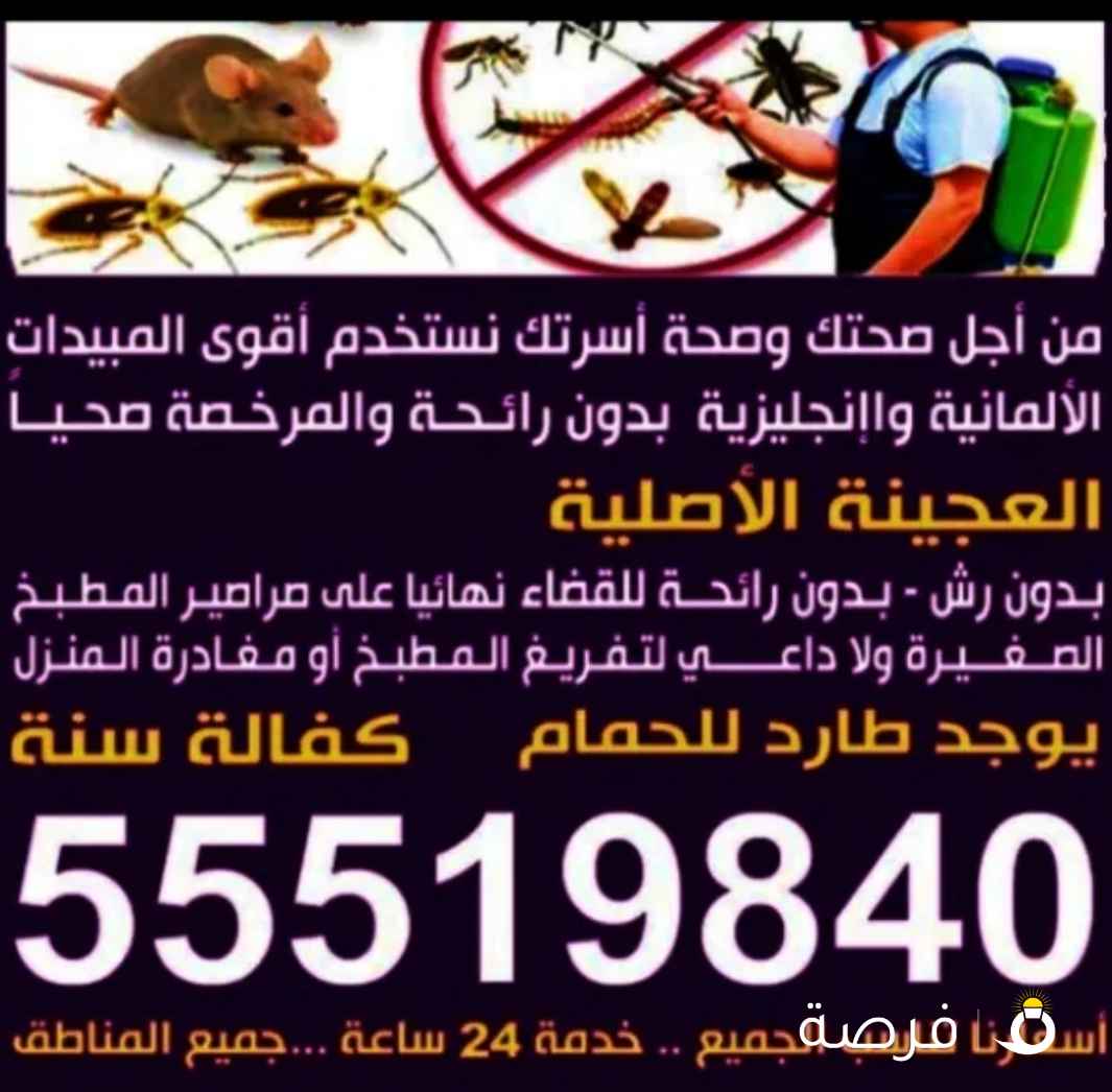 مكافحه جميع انواع الحشرات الصراصير النمل الابيض والاسود برعص الفيرنان أمن على الطفل بدون ريح ليدن