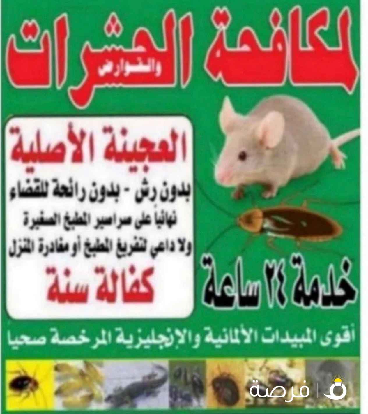 مكافحه حشرات وقوارض رش حشرات مع كفاله سنه