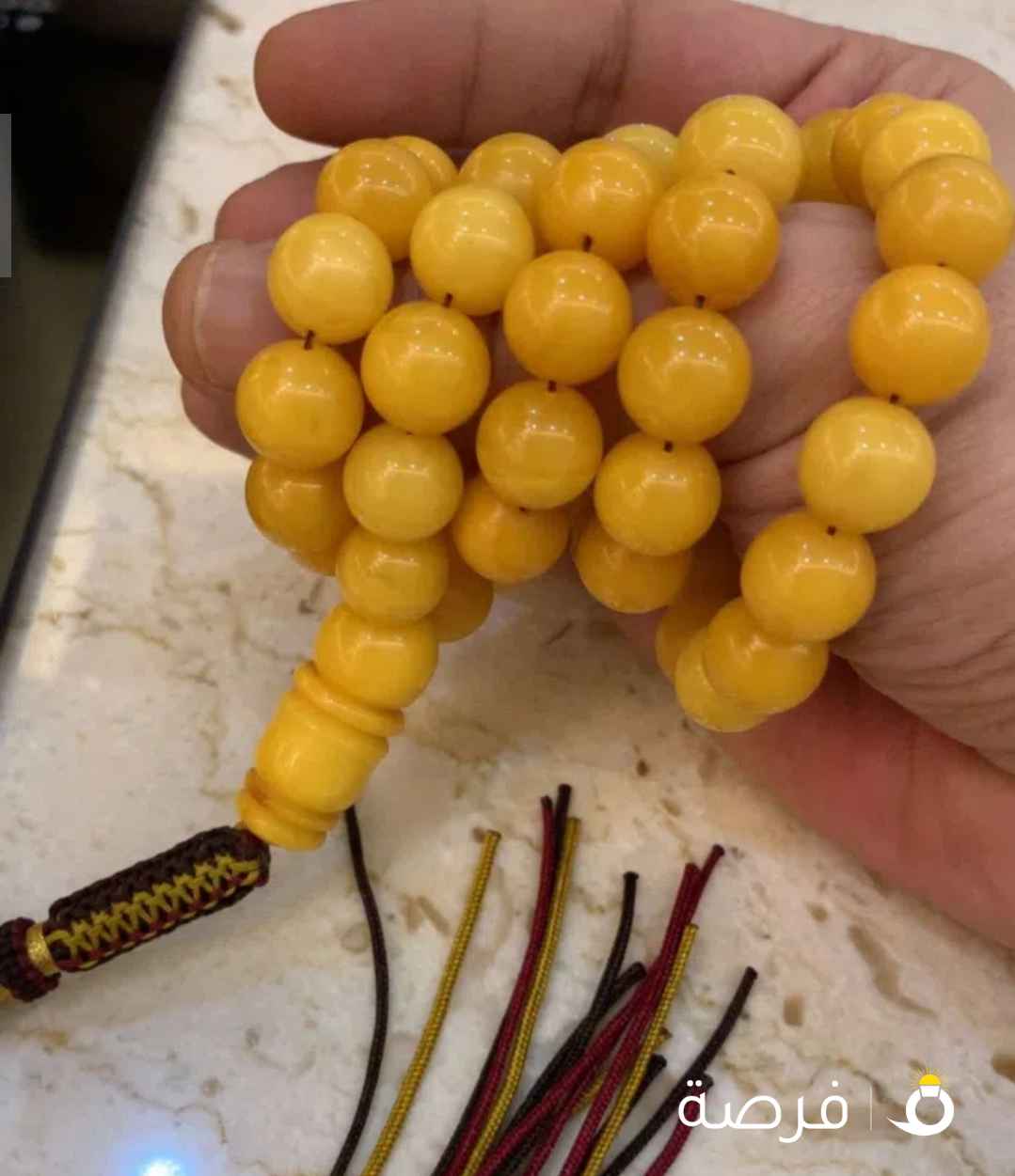 كهرب بولندي منقاوي