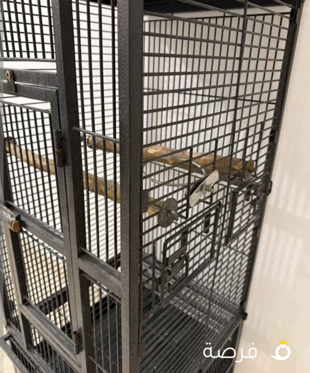 Parrot-birds big cage