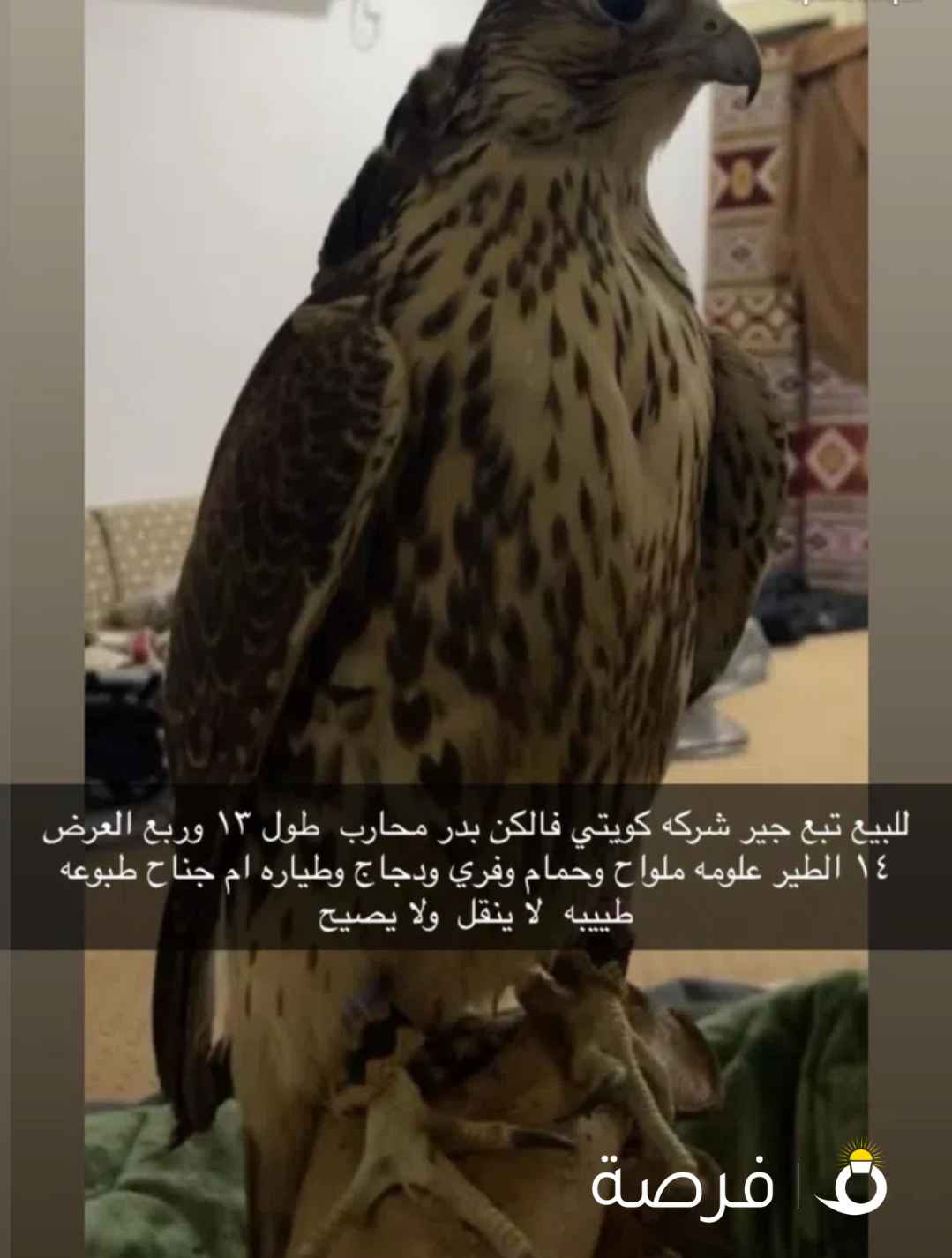 للبيع تبع جير على سوم