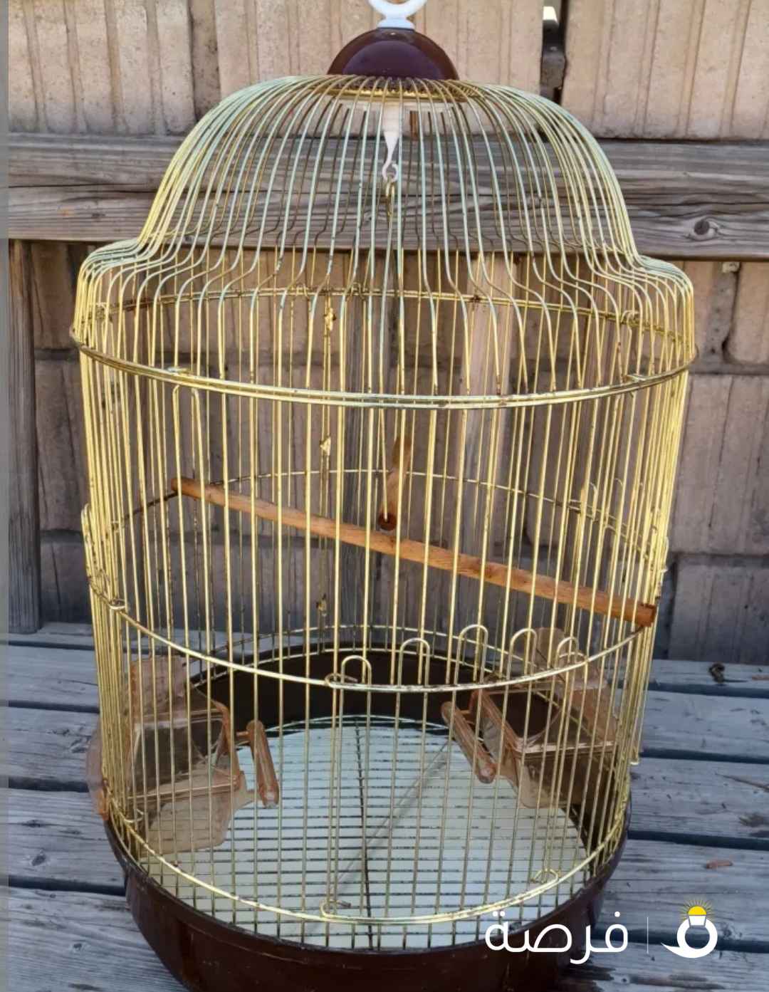 قفص طيور أليفه