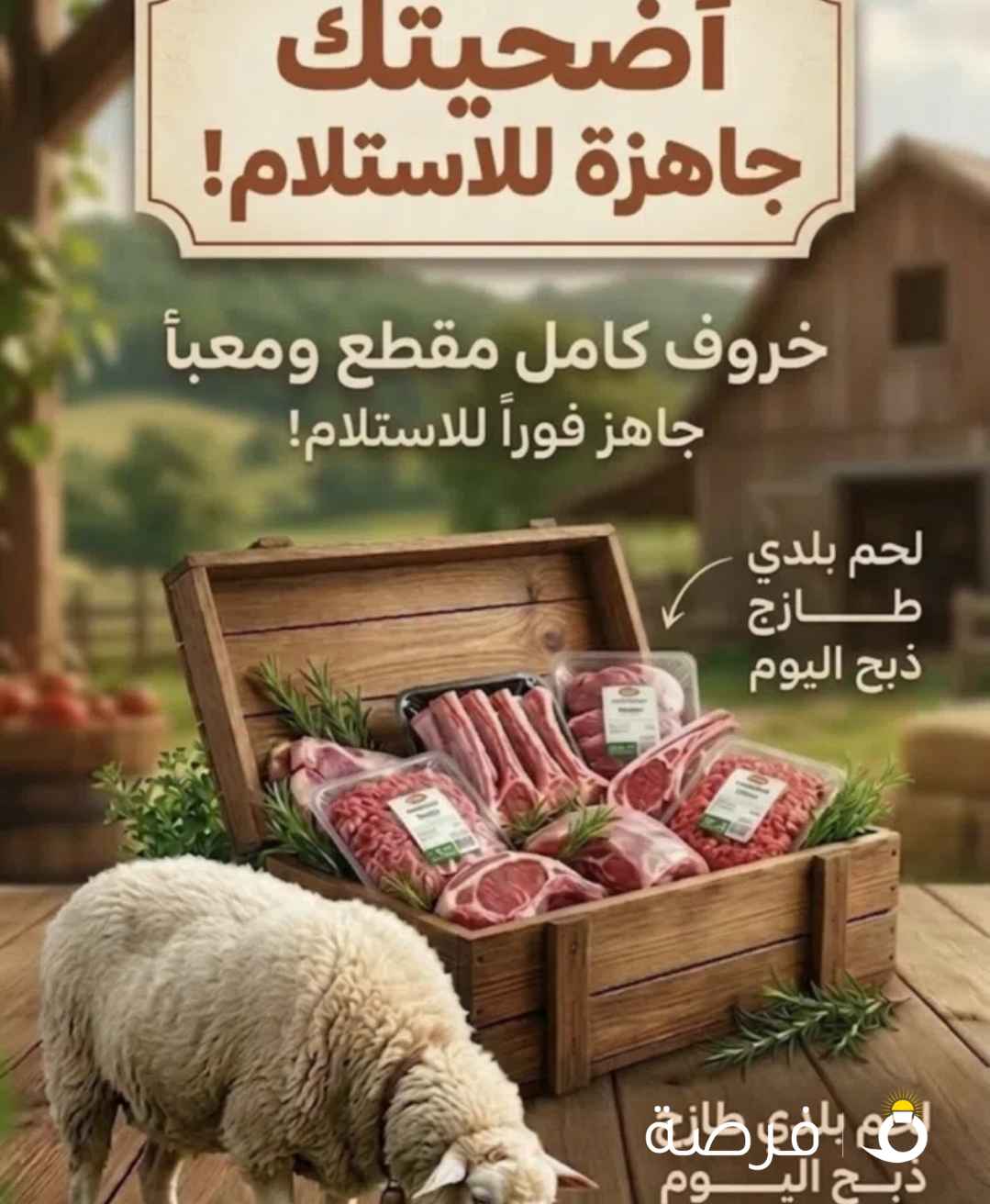 حياكم مايصير خاطركم الا طيب