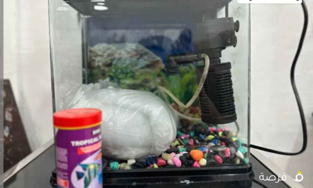 حوض سمك نظيف