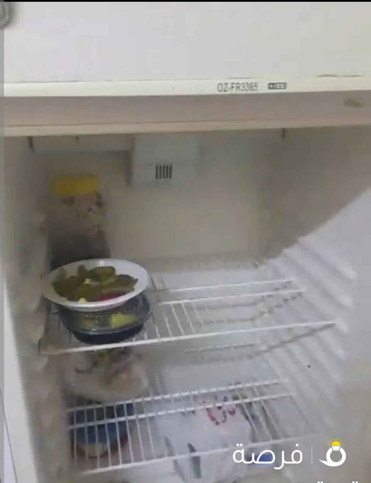 ثلاج ص⁦⁦2⁩⁩ ⁦⁦1⁩⁩ قدم