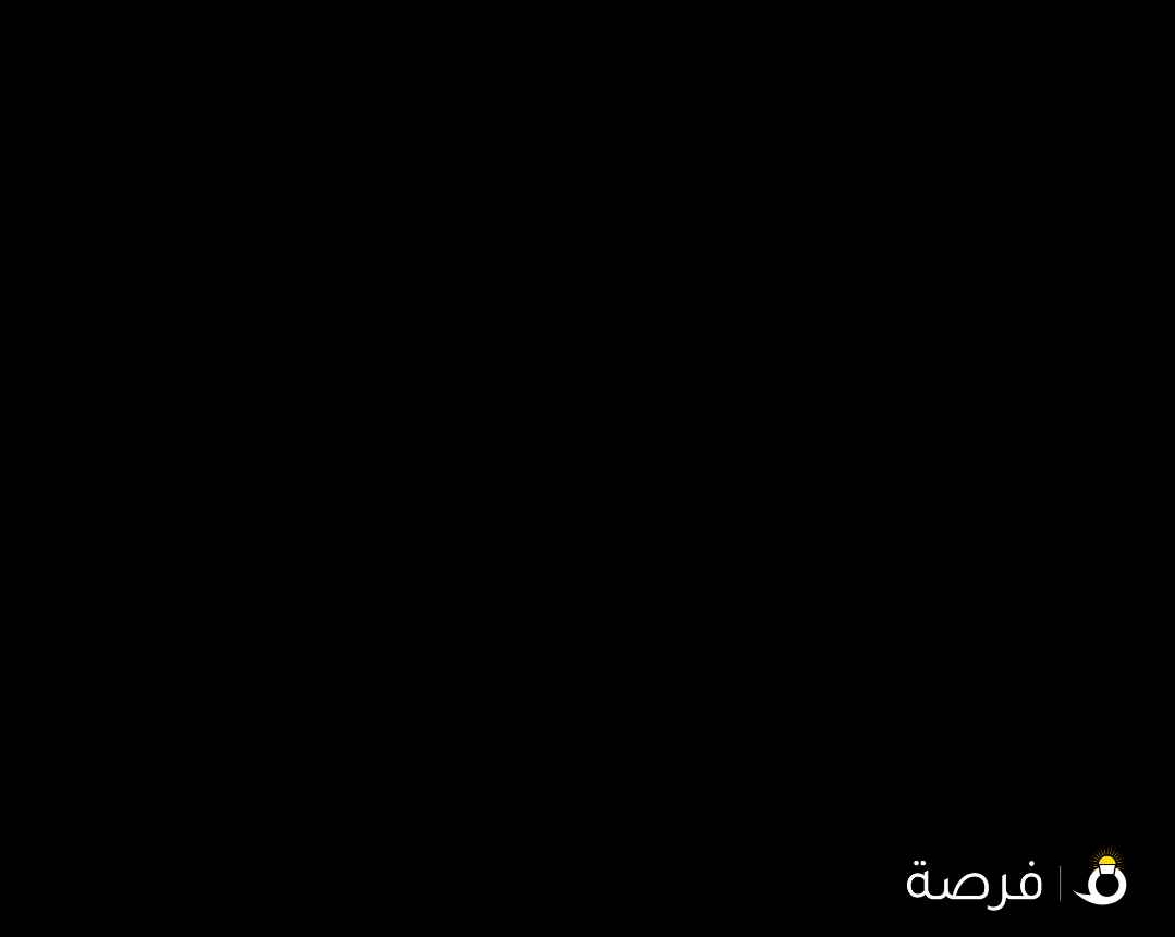 حصان مصري البيع بلدي