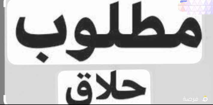 المنقف الشارع