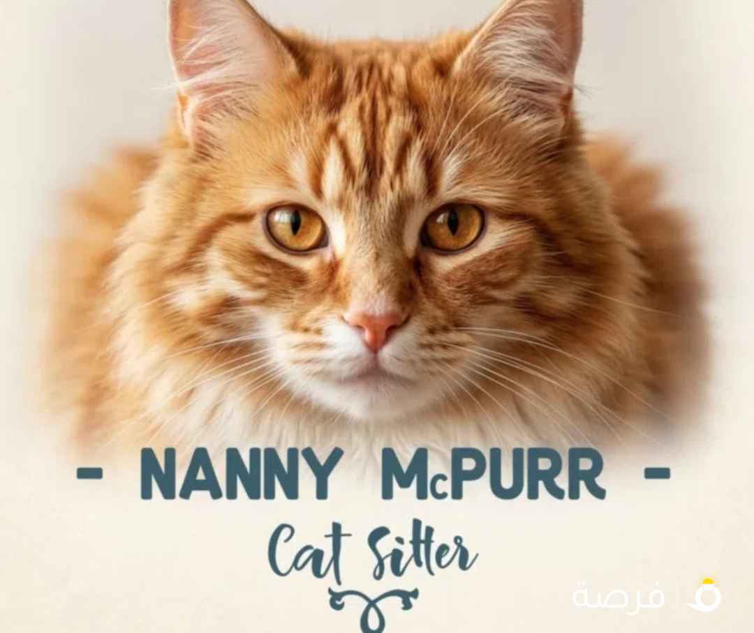 Cat nanny/sitter available