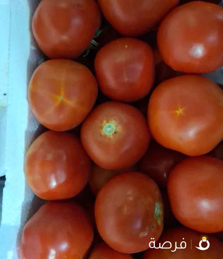 محل خضار و فواكه تحطيم الأسعار