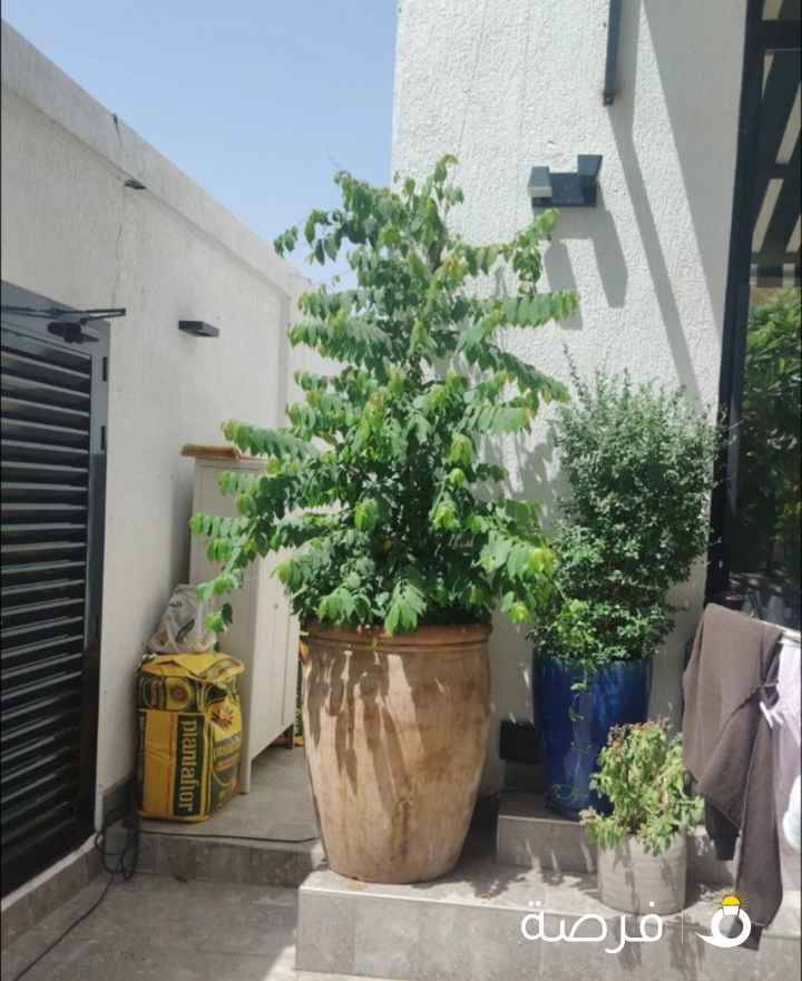 مطلوب مهندس زراعي سوداني من السودان