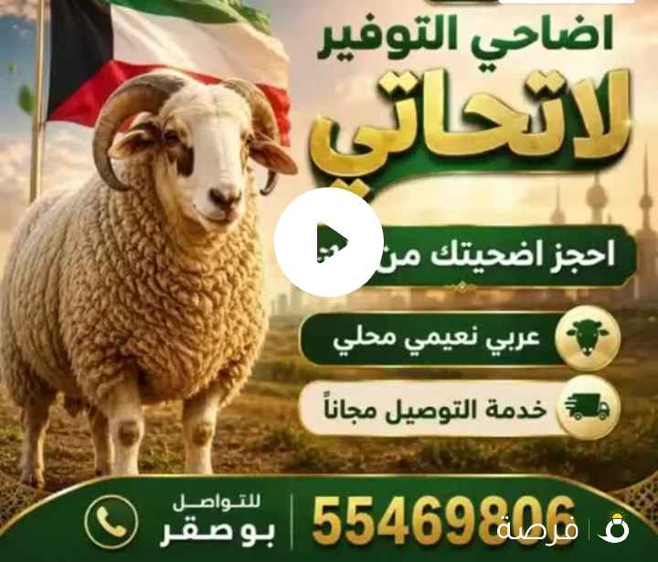 اضاحي التوفير عربي نعيمي محلي نعيمي سوري شي طيب وراهي خدمة توصيل مجاني اضحية مستوفية كامله الشروط