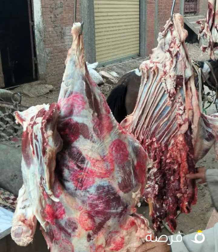 جزار لعيد الاضحى المبارك