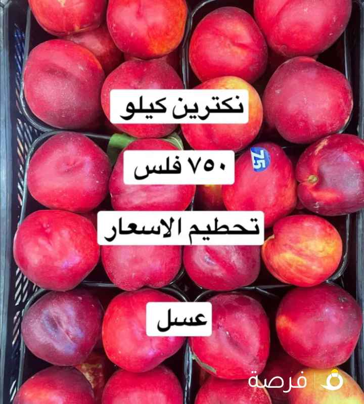 لوجي للخضار والفواكه